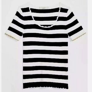 LOFT Navy and White Striped Scallop Short Sleeve Top NWT Petite